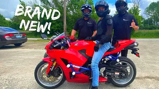 CBR600rr STUNT BIKE REVEAL! (Must See)