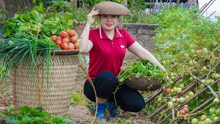 Busy Harvesting Tomato, Scallion And Vegetables - Go Sell In Upland Market - Farm Animals Care