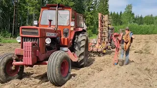 Bolindern den röde, möter nu sitt öde