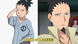 KISAH SHIKAMARU NARA - SHINOBI YANG TERKENAL AKAN KECERDASANNYA