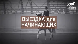 Выездка для начинающих