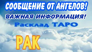 РАК 🧚‍♂️🧚‍♂️🧚‍♂️ СООБЩЕНИЕ от АНГЕЛОВ Важная ИНФОРМАЦИЯ гадание онлайн