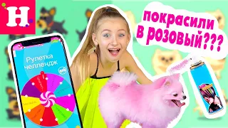 РУЛЕТКА ЧЕЛЛЕНДЖ !  ПОКРАСИЛИ КИКИ В РОЗОВЫЙ ?! КАРТОННЫЙ ДОМИК ДЛЯ СОБАК ЧТО ЭТО? Шпиц и Йорк