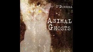 Animal Ghosts by Elliott ODonnell ~ Full Audiobook