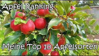 Apfel Ranking - Meine Top 10 Apfelsorten