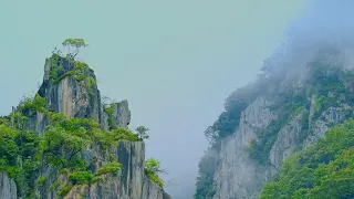 CGTN Nature: Tangjiahe Series | Episode 1: Encounter with Tangjiahe