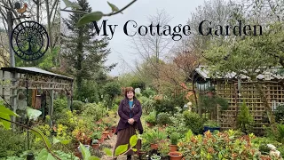 My Cottage Garden. Update and Tour of 3 acres!