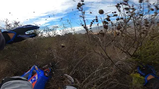 Arm Pump Fatigue is REAL!!!  Full Throttle Crash into a Bush with the Beta Xtrainer 300