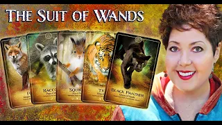 Suit of Wands Symbolism | Tarot Card Reading & Meanings | Minor Arcana