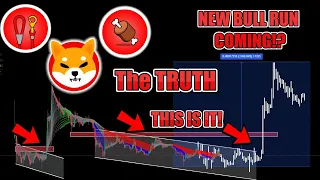 SHIBA INU 30X BULLRUN COMING in 2024!? The TRUTH about SHIB, BONE, and LEASH MASSIVE BULLRUN COMING!