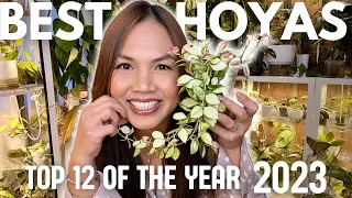 Unveiling My Top 12 Hoyas of 2023: Botanical Bliss! 🌿 🌸