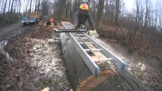 Eiche im Wald zu Brettern sägen 1