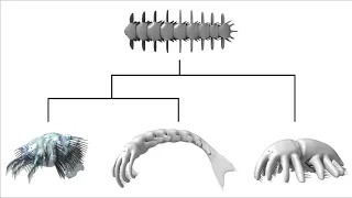 Alien Biospheres: Part 3 - Cladistics and Ecology