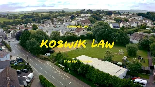 Koswik Law - A temperate rainforest in Cornwall