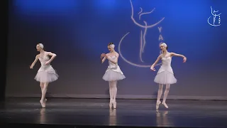 Big Swans YAGP 2021