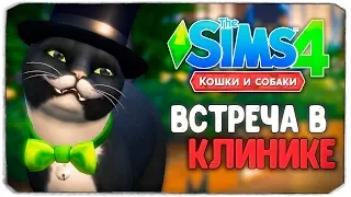 ВСТРЕЧА В ВЕТКЛИНИКЕ! - The Sims 4 "Кошки и Собаки" ▮