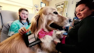 300,000 Valentine's Day cards sent to kids at Children's Hospital