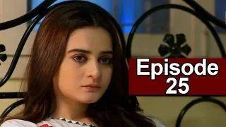 Watch Ishq Tamasha Episode 25 | Promo | Trailer | Hum Tv