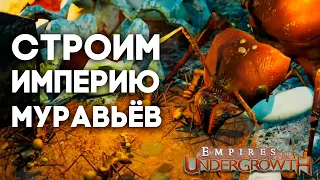 СТРОИМ МУРАВЬИНУЮ ИМПЕРИЮ В Empires of the Undergrowth! Прохождение. Серия #1.  Димон и пумба