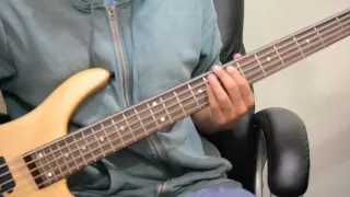 Hotel California - Eagles (Bass Cover)