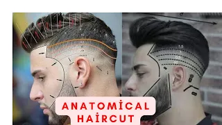 Watch This Before Your Next Haircut: Anatomical Haircut