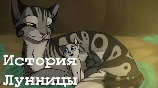 История Лунницы(по просьбе подписчицы)/Коты-воители