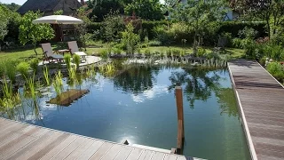 Wo Grün begeistert: So entsteht ein Schwimmteich-Garten