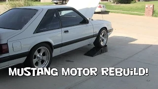 Mustang Motor Rebuild Part 1