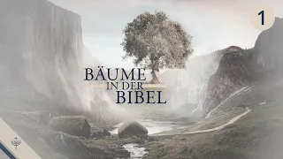 Bäume in der Bibel - Teil 1 | mit Roger Liebi