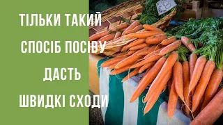 ЧОМУ У МЕНЕ МОРКВА СХОДИТЬ ШВИДКО...🥕СІЮ з березня по 10 липня, жодного промаху🥕😎