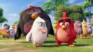 Were Gonna Fly   Angry Birds episode0 The Angry Birds Movie