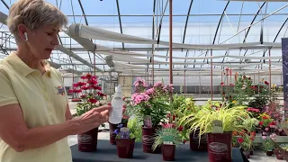 Blooming Nursery NNBA Virtual Trade Show Video