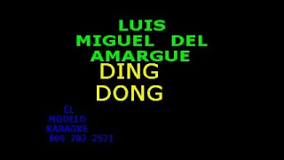 LUIS MIGUEL DEL AMARGUE   DING DONG   KARAOKE DEMO