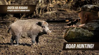 Охота на кабана и рецепт паштета в винном соусе! Boar hunting! Best shots!