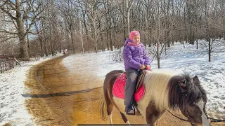 Влог / Семейные выходные / Подготовка машины к поездке на море / Блуждаем по лесу