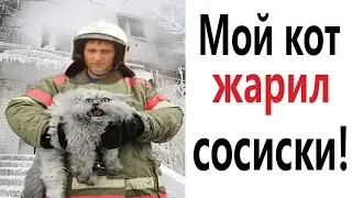 Лютые приколы. МОЙ КОТ ЖАРИЛ СОСИСКИ!!! Самое смешное видео! Попробуй не засмеяться! - Domi Show