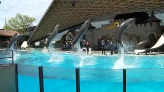 Having Fun at Marineland