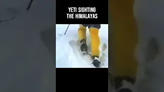 YETI Sighting!! The Himalayas ~ Old Footage Found ~ BUT LOOK This Is Incredible! #shorts #yeti