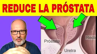 HOW TO REDUCE THE PROSTATE AND IMPROVE URINARY SYMPTOMS