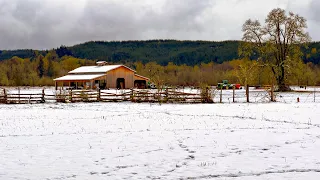 Awoke To Snow & No Power!! • Boy, What a Day..! | TheSmoaks Vlog_2339