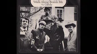 The Family Album - Walk Along Beside Me 1968