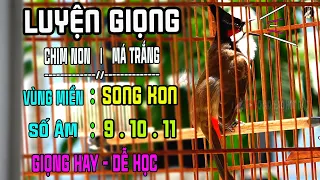 Luyện Chào Mào Hót Giọng SÔNG KON CỰC ĐỈNH,Âm 9-10-11 Ép Chim Non,Má Trắng Học Được Giọng Chuẩn Rừng