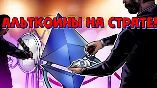 Альткоины на иксы! Которые могут дать отличный профит!