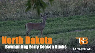 Bowhunting Early Season Bucks