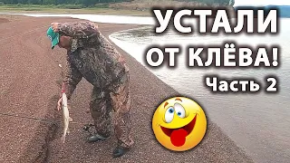 Аж по ДВЕ за раз! Вот это рыбалка на щуку! Сравнение спиннингов: спиннинг косадака и джонко. 2 часть