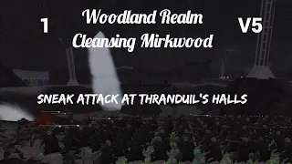 DaC V5 - Woodland Realm 1: Cleansing Mirkwood