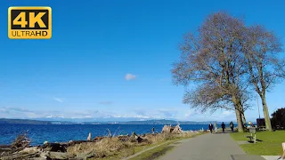 Walk Seattle | Sunny Morning Nature Walk in Lincoln Park 4K 60 FPS