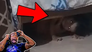 SCARY Ghost Videos Compilation #32