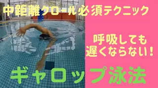 【中距離クロールの必須テクニック！】ギャロップ泳法の解説と練習方法