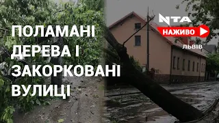 Наслідки негоди у Львові. У районі Підзамче знеструмлені вулиці. Дерева перекрили дороги.Наживо